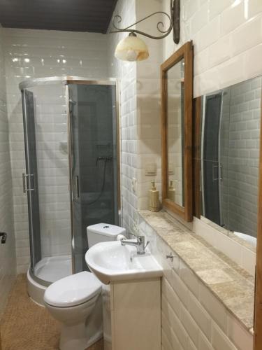 a bathroom with a toilet and a sink and a shower at Agroturystyka Catranch in Grębków