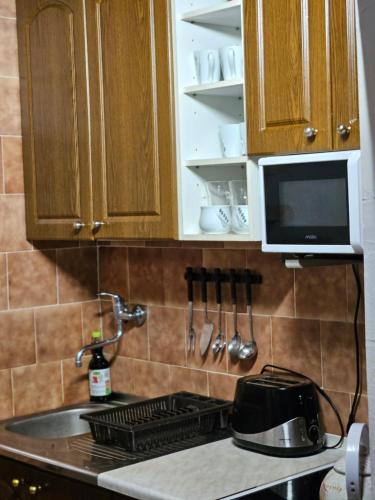 Køkken eller tekøkken på Drevenica Pri Potoku