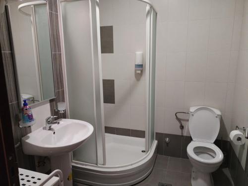a bathroom with a shower and a toilet and a sink at Apartman Besu in Vrnjačka Banja