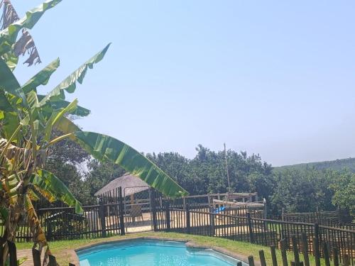 a pool at a resort with a playground at African Dream Tents in Graskop