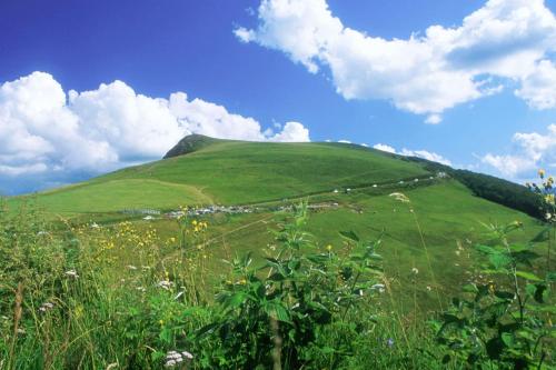 una colina verde con un campo de hierba y flores en Spacious apartment close to skiing and nature !, en Rochesson