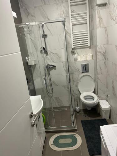 a bathroom with a shower and a toilet at Apartment Sanja in Belgrade