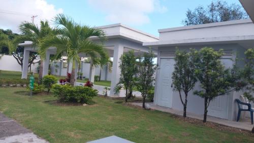 This beautiful apt you can have a nice vacation