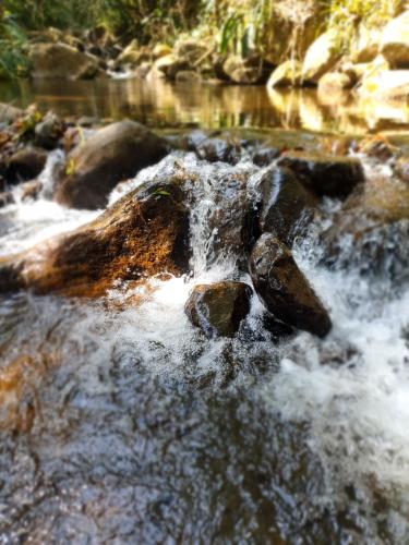 Natuurlandschap vlak bij het vakantiehuis