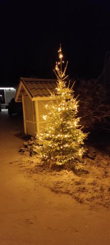 a christmas tree with lights in front of a house at Santa's little cottage in Rovaniemi