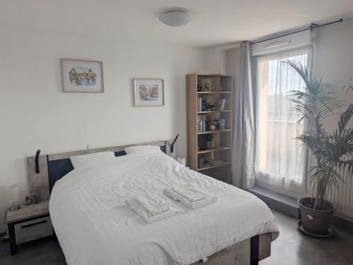 a bedroom with a large white bed with a window at Grande chambre et salle de bain privée et balcon in Strasbourg