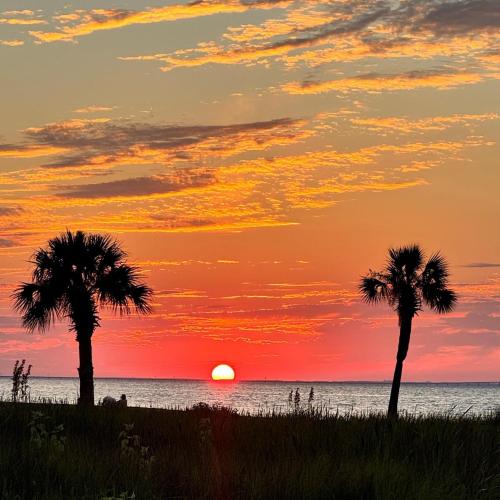 Sandestin Bayfront Studio with balcony and breathtaking views photo 27