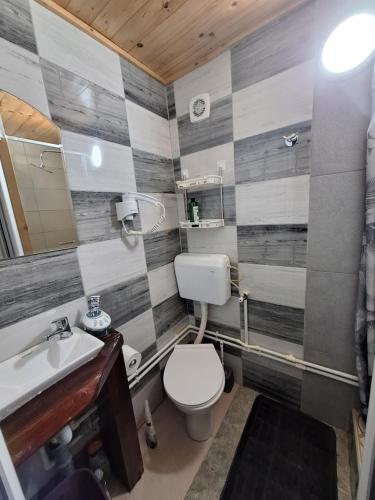 a bathroom with a toilet and a sink at Apartman A&J in Žabljak