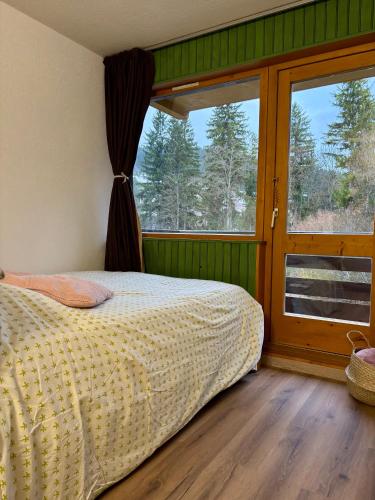 a bedroom with a bed and a window at Studio près du lac in Malbuisson