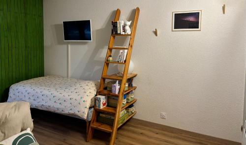 Studio près du lac في ماليبونسون: غرفة بها سلم بجانب سرير