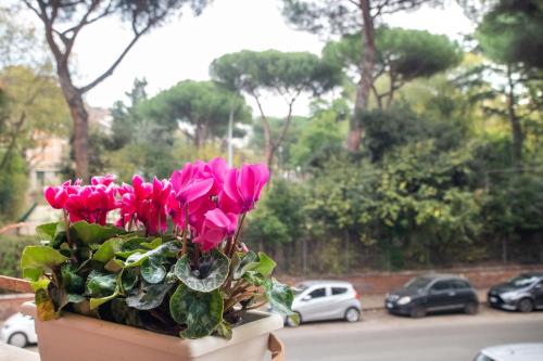 Amaryllis Apartment, in the Heart of Appio Latino
