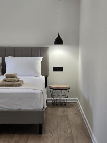 Downtown luxury apartment I