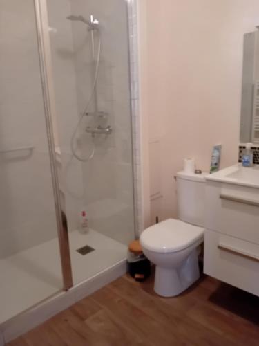 Koupelna v ubytování FORUM 134, 36 m2 en plein centre ville