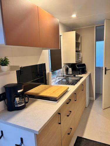 a kitchen with a counter with a stove top oven at Tinyhouse 6 Ferienwohnung Mobilheim Fehmarn in Fehmarn