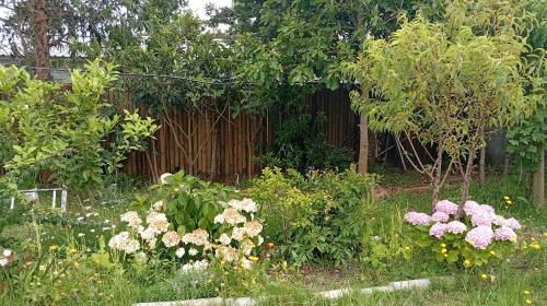 Een tuin van LAPOSTa555