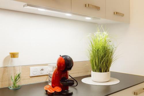 Billede fra billedgalleriet på Somptueux appartement - Besançon i Besançon