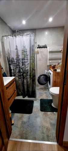 a bathroom with a shower and a toilet and a sink at Leśna Przystań Rumia - obok Gdyni i Aquaparku Reda in Rumia