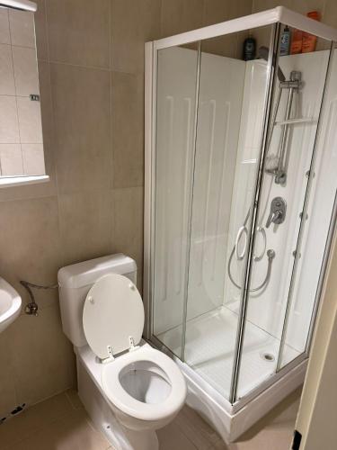 Un baño con ducha, inodoro y lavabo. en Gasthorf Löwen Oberburg, en Oberburg