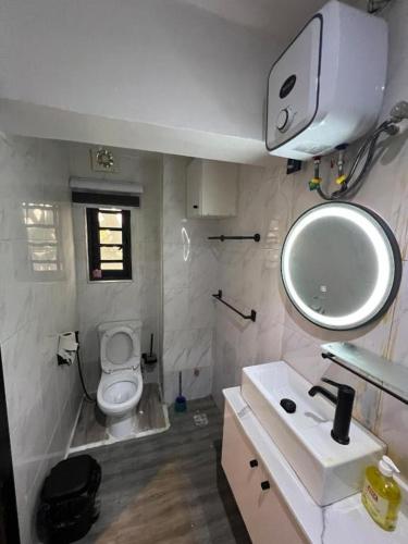 a bathroom with a toilet and a sink and a mirror at Hertz Studio in Lagos