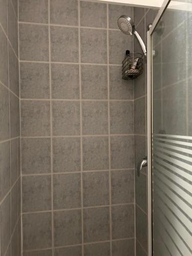 a shower with a shower head in a bathroom at 2 Chambres dans maison typique in Beaumont-lès-Valence