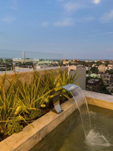 Casa Joseph Libertador — Pool view