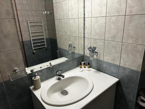 Ένα μπάνιο στο Studio in Hotel Flora Borovets