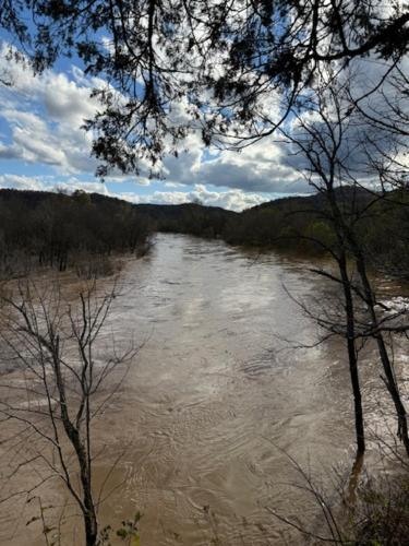 Afbeelding uit fotogalerij van Kings River Micro Cabin in Eureka Springs