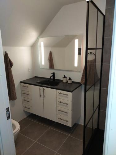 a bathroom with a sink and a mirror at BnB Hammerum in Herning