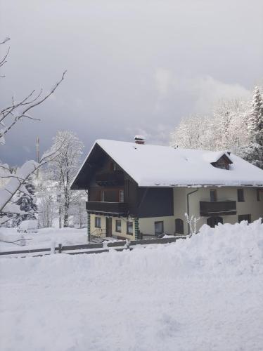 Pension Waldfrieden في Steinhaus am Semmering: منزل مغطى بالثلج مع ساحة مغطاة بالثلج