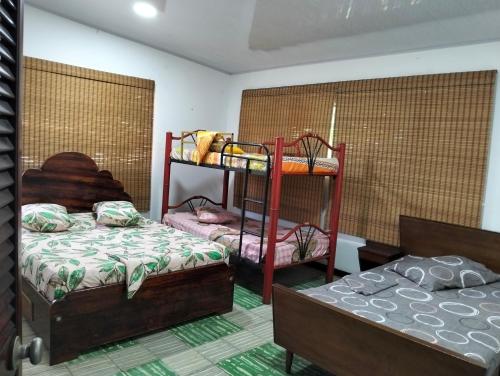 two bunk beds in a room with two beds at hostal el gato in Utica