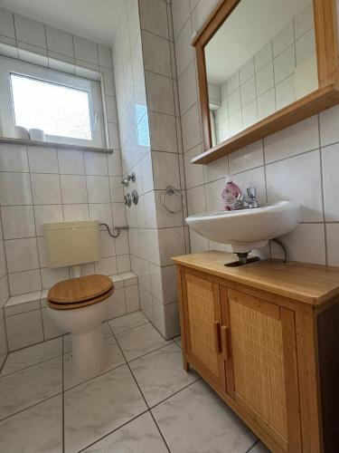 a bathroom with a toilet and a sink at Tulpen Residenz in Offenbach