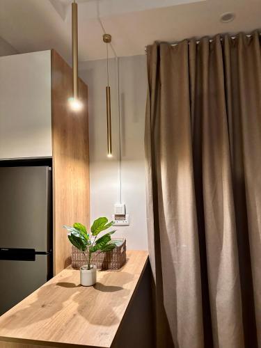 a potted plant on a wooden table next to a curtain at Sunkissed Haven - Coastal Escape in Flic-en-Flac