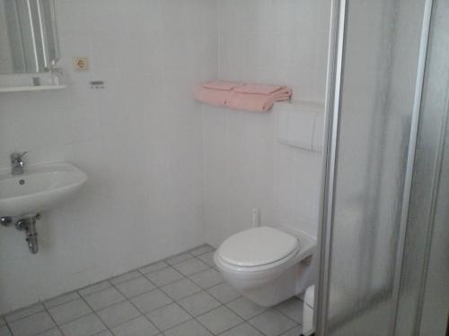 ein weißes Bad mit einem WC und einem Waschbecken in der Unterkunft Landhotel Zur Krone in Kieselbach
