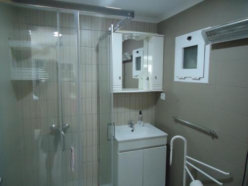 a bathroom with a shower and a sink and a toilet at Alojamento Poço do Barro in Lodões