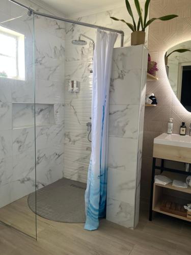 a shower in a bathroom with white marble walls at Villa Fina Aruba in Palm-Eagle Beach