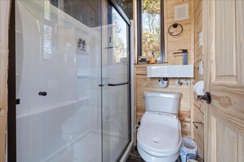 un bagno con wc e doccia in vetro di Kings River Micro Cabin a Eureka Springs