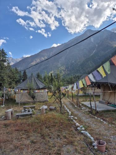 Příroda nedaleko kempu