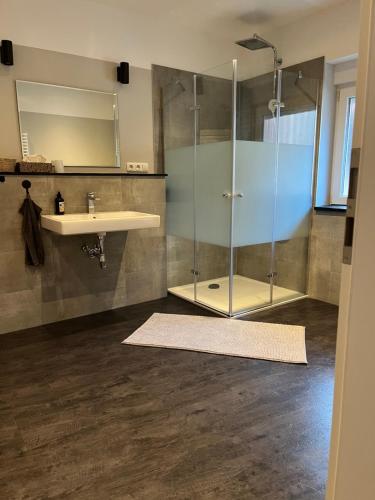 a bathroom with a glass shower and a sink at Family-friendly accommodation in Seesen