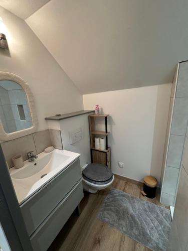 een badkamer met een wastafel en een toilet bij Maison le petit coin secret in Châtillon-sur-Seine