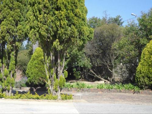 a tree in the middle of a park at Serene Pastures in Midrand