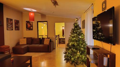 a christmas tree in a living room with a couch at Zaļais namiņš in Ventspils