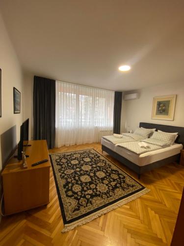 a bedroom with a bed and a television and a rug at Apartman Zotović in Sarajevo