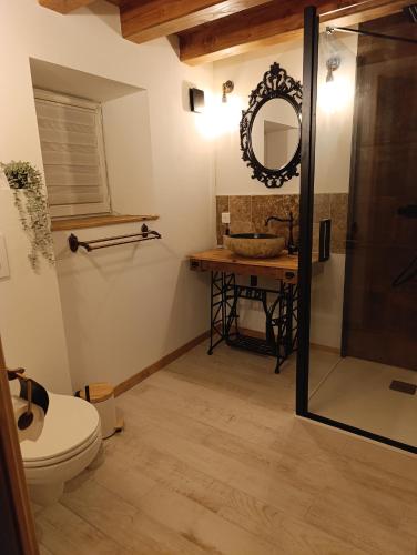 a bathroom with a toilet and a sink and a mirror at Le Grand Meix - La Petite Grange in Escles