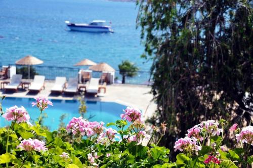 トルバにあるOmar Hotel & Suitesのギャラリーの写真