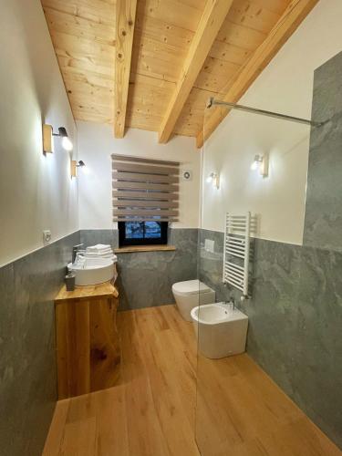 a bathroom with a toilet and a sink at Cabana Roua in Borsa