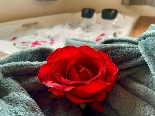 Chalé Mirante في برايا جراندي: وردة حمراء جالسة فوق منشفة