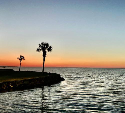 Sandestin Bayfront Studio with balcony and breathtaking views photo 22