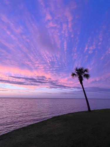 Sandestin Bayfront Studio with balcony and breathtaking views photo 43