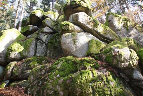Gallery image of Panoramablick Höllbachtal in Rettenbach