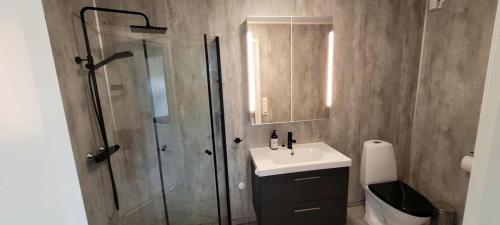 a bathroom with a shower and a sink and a toilet at Bardufoss Panorama in Bardufoss